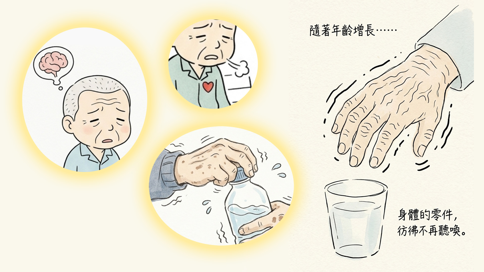 《長者護理常識》生理變化及應對方法